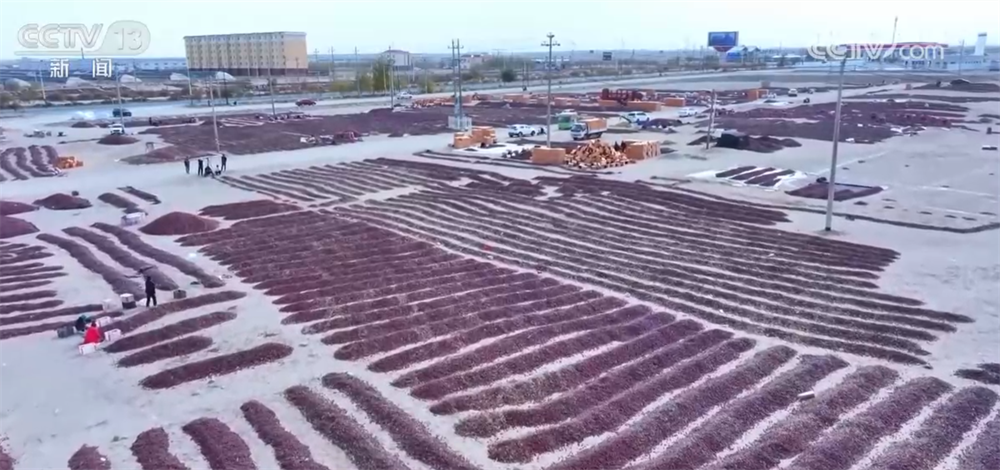 特色产业绘就百姓增收“实景图” 激活乡村振兴“一池春水”