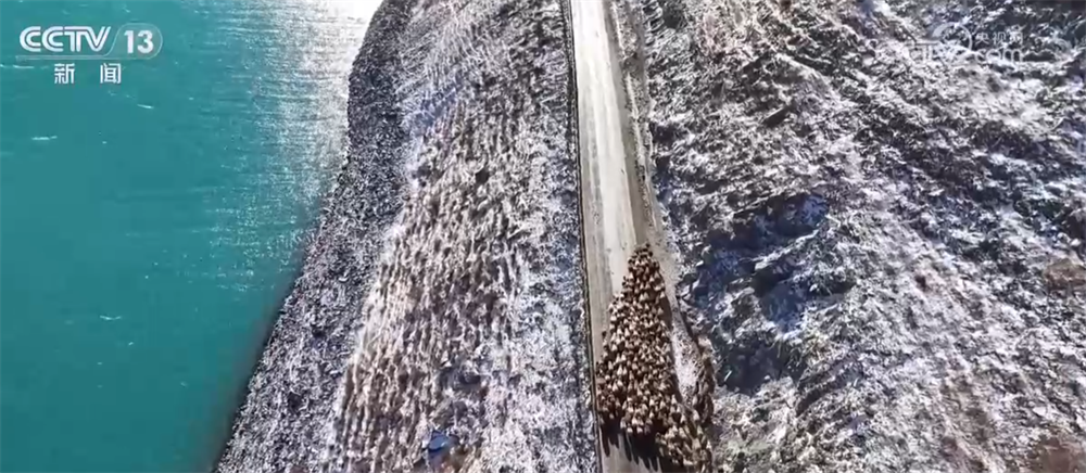 特色产业绘就百姓增收“实景图” 激活乡村振兴“一池春水”