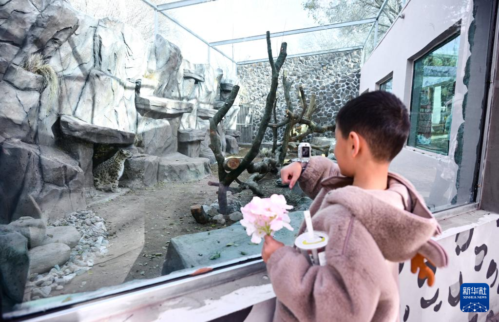 西宁野生动物园豹馆焕新改造完成