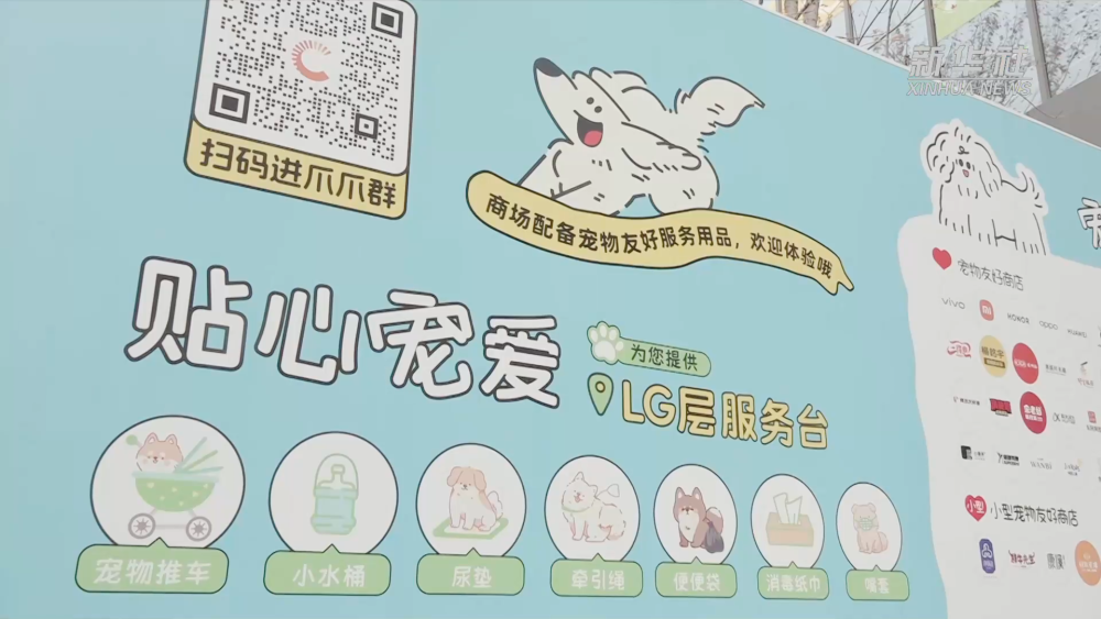 千亿“新赛道”的崛起密码|逛出幸福感:与“毛孩子”同行的城市地标 千亿“新赛道”的崛起密码|逛出幸福感:与“毛孩子”同行的城市地标