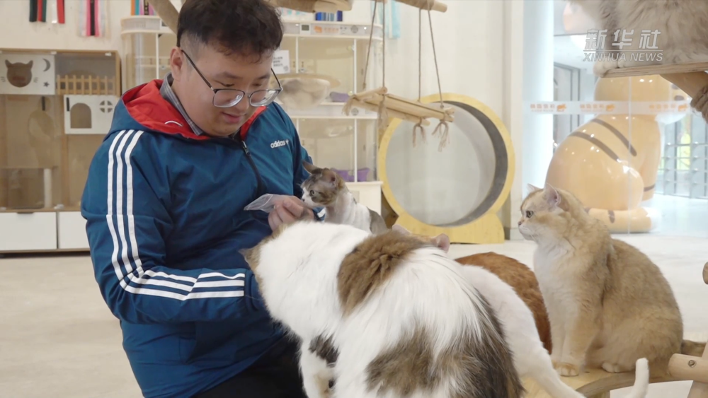 千亿“新赛道”的崛起密码|逛出幸福感:与“毛孩子”同行的城市地标 千亿“新赛道”的崛起密码|逛出幸福感:与“毛孩子”同行的城市地标