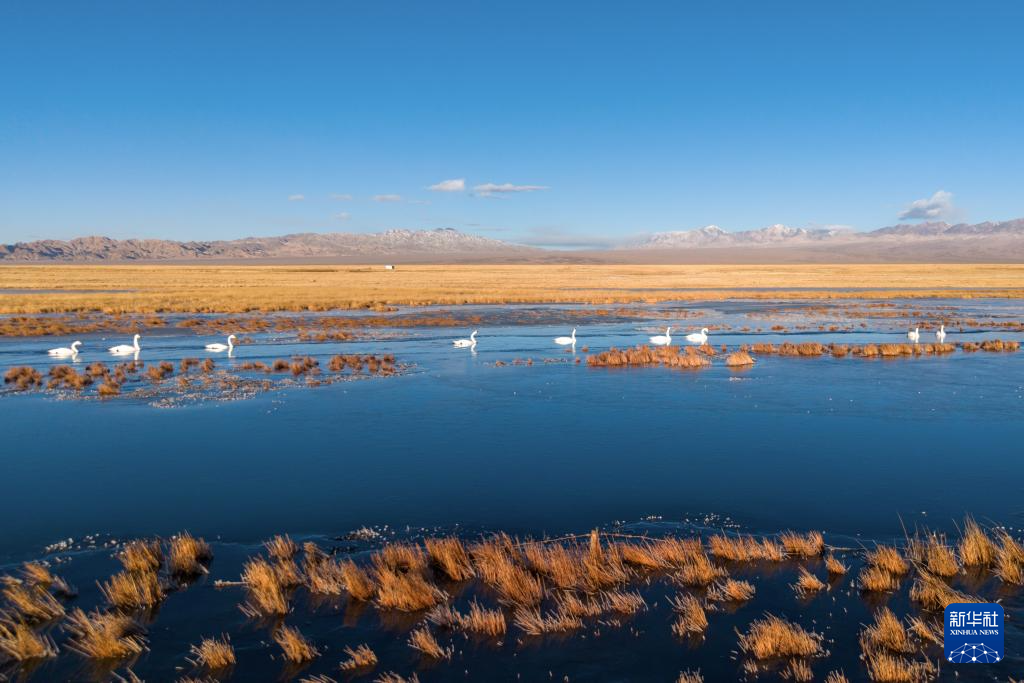 大、小苏干湖:咸淡相连的高原“姊妹湖”