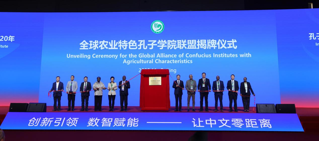 “孔子学院的传承与发展——迈进新的20年”专项会议在京举办 “孔子学院的传承与发展——迈进新的20年”专项会议在京举办