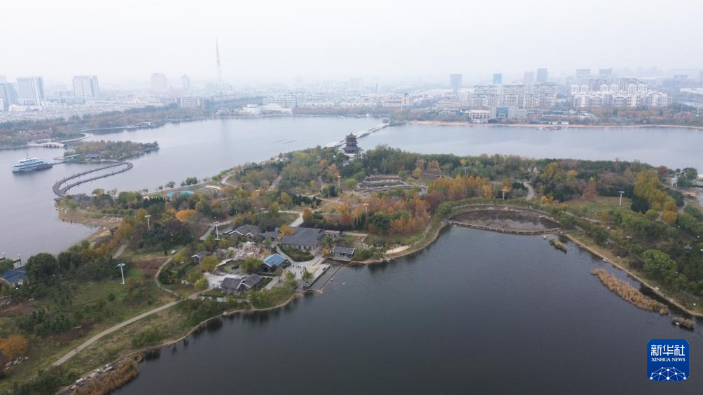 中国之城丨山东东营：河海交汇的湿地之城