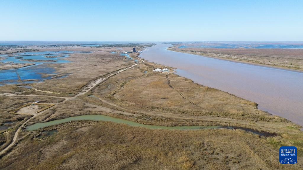 中国之城丨山东东营：河海交汇的湿地之城
