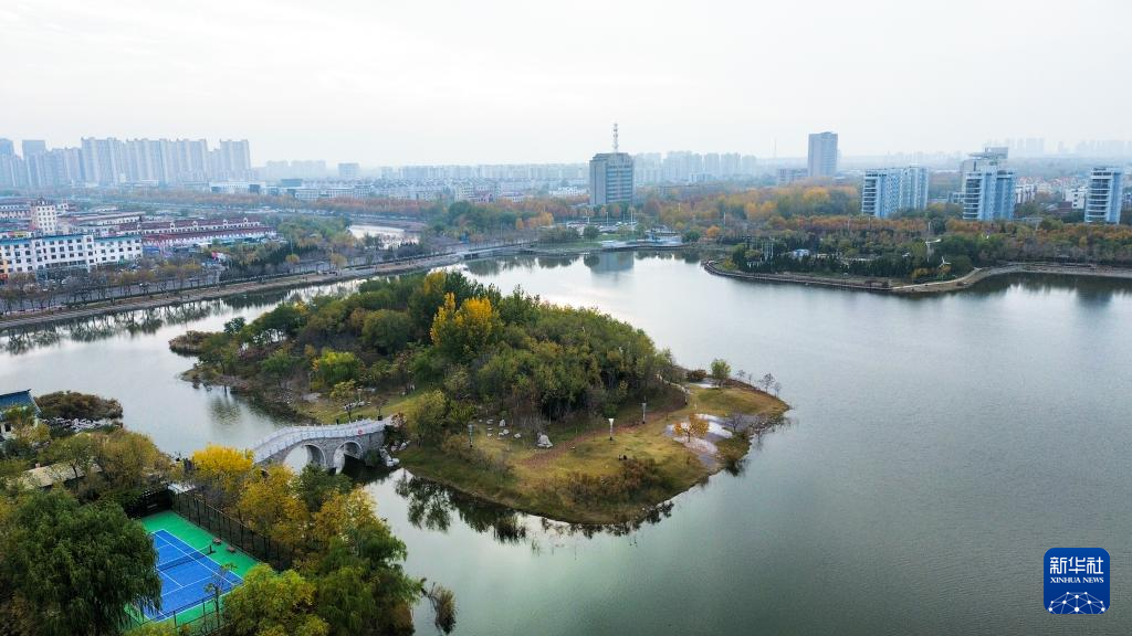 中国之城丨山东东营：河海交汇的湿地之城