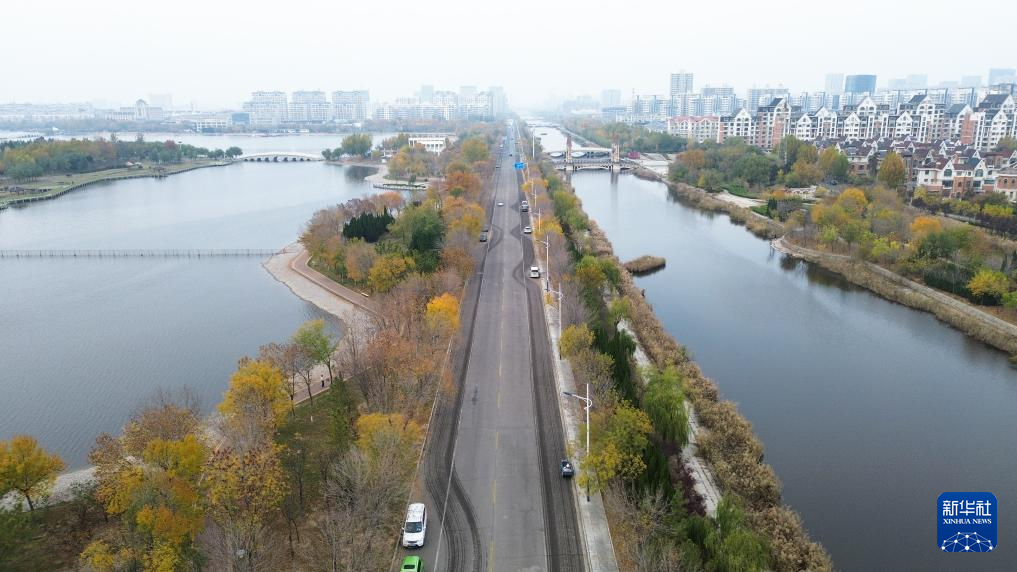 中国之城丨山东东营：河海交汇的湿地之城