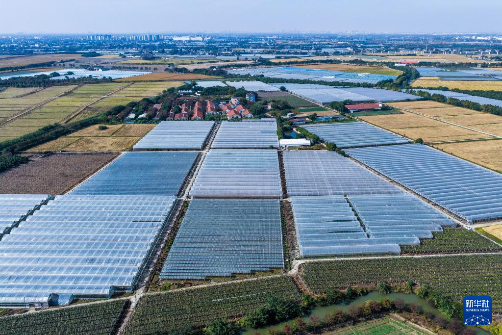 浙江嘉兴：推进“千万工程” 助力乡村振兴