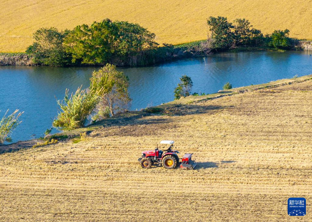 全国冬小麦播种过九成