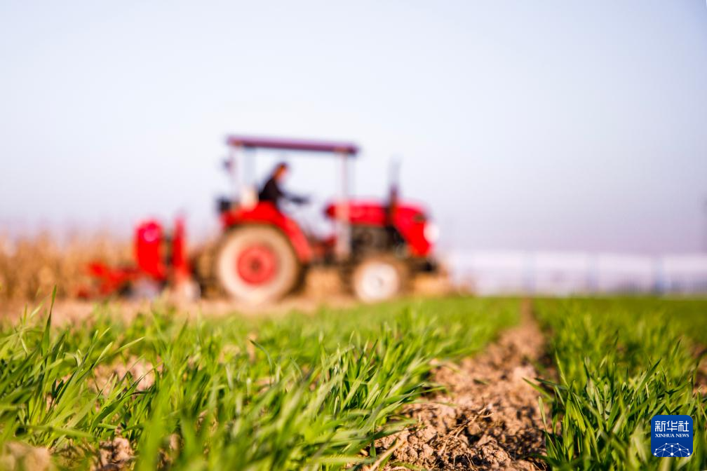 全国冬小麦播种过九成