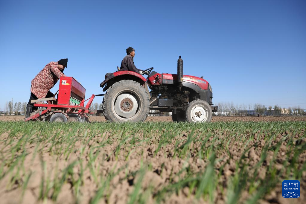 全国冬小麦播种过九成