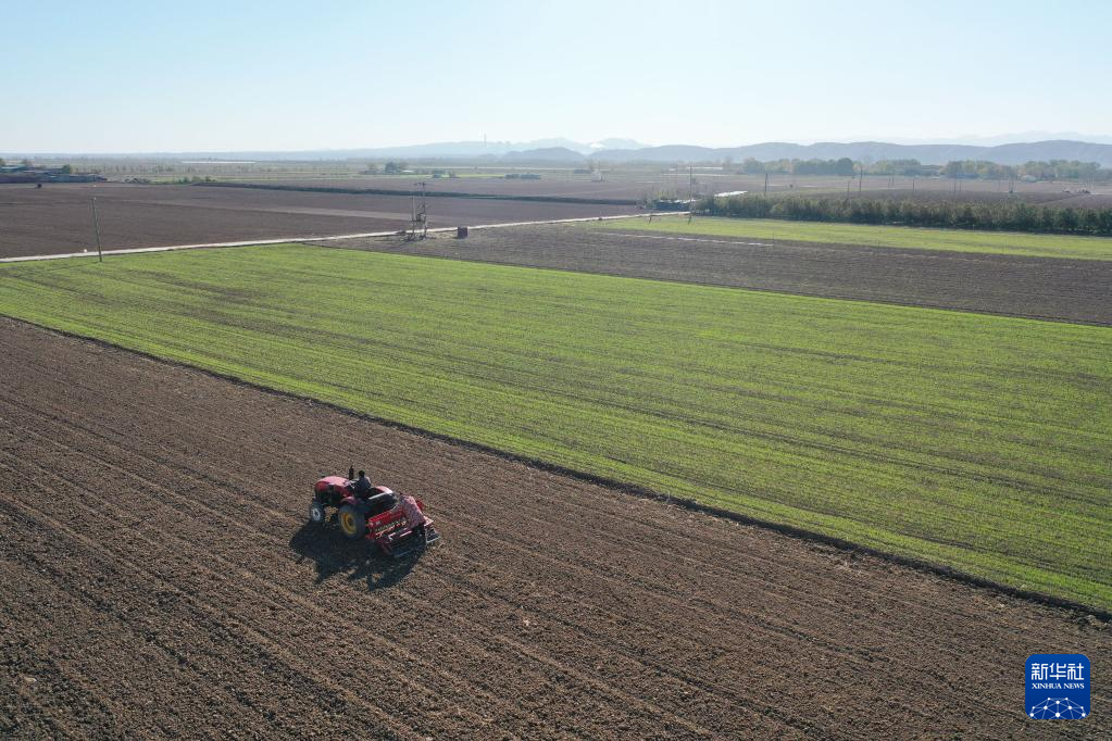 全国冬小麦播种过九成