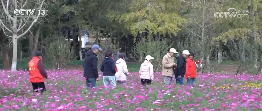 换新、升级、扩容,潜力释放!借助关键词多维度感知消费市场强劲活力