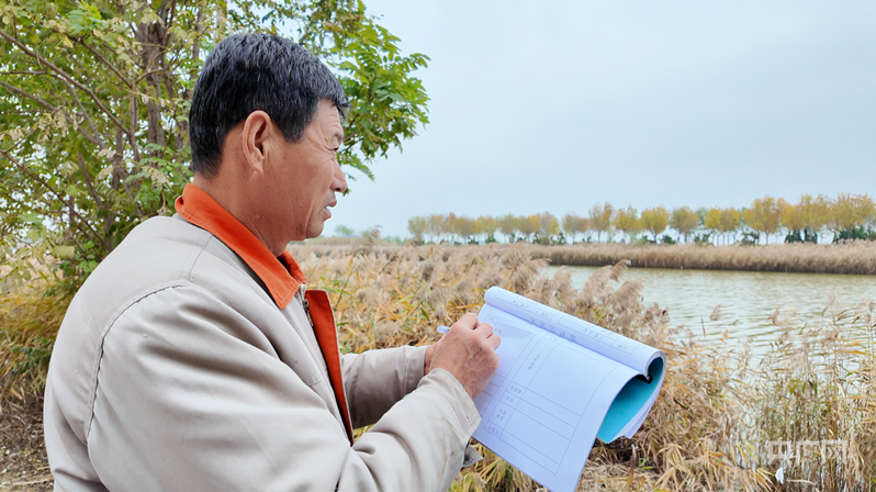 行进的海岸线|从巡护车到“AI眼” 世界自然遗产南大港湿地的生态守护