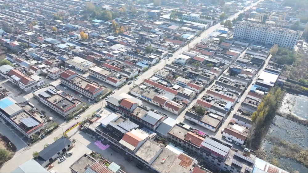 四中全会精神在基层|山东泰安:秋裤“织”出产业振兴大文章 四中全会精神在基层|山东泰安:秋裤“织”出产业振兴大文章