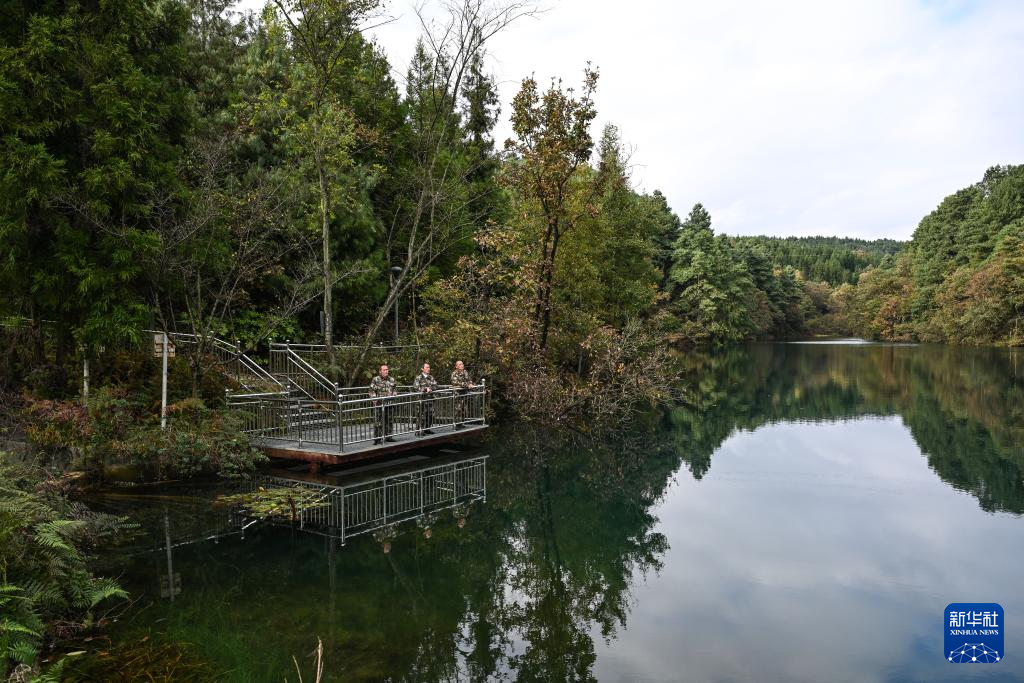 图片故事丨乌蒙深处，三胞胎兄弟接力护林44年