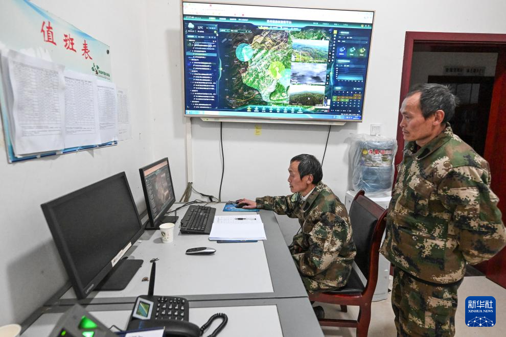 图片故事丨乌蒙深处，三胞胎兄弟接力护林44年