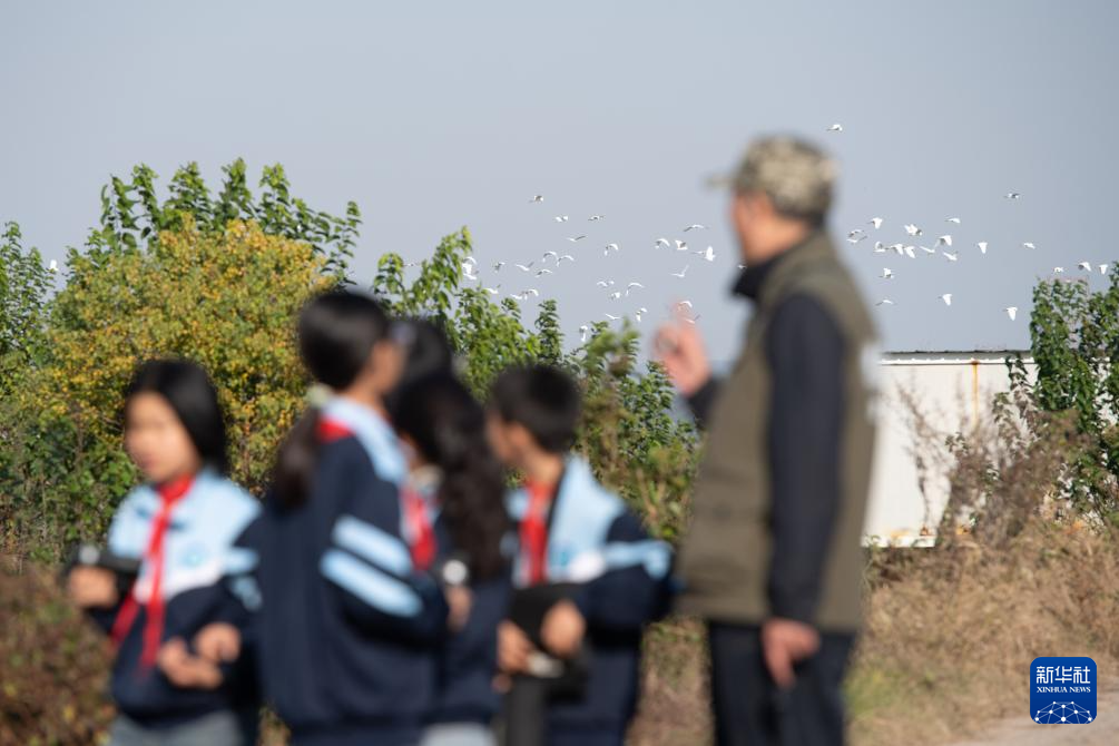 与湿地共成长——这所乡村小学有特色