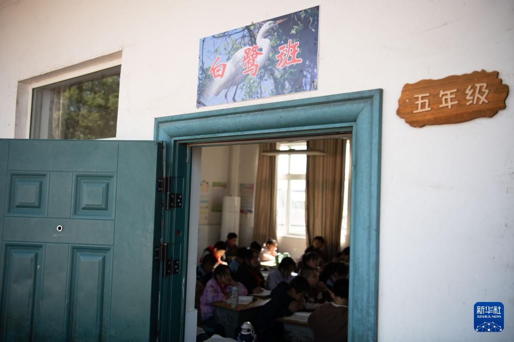 与湿地共成长——这所乡村小学有特色