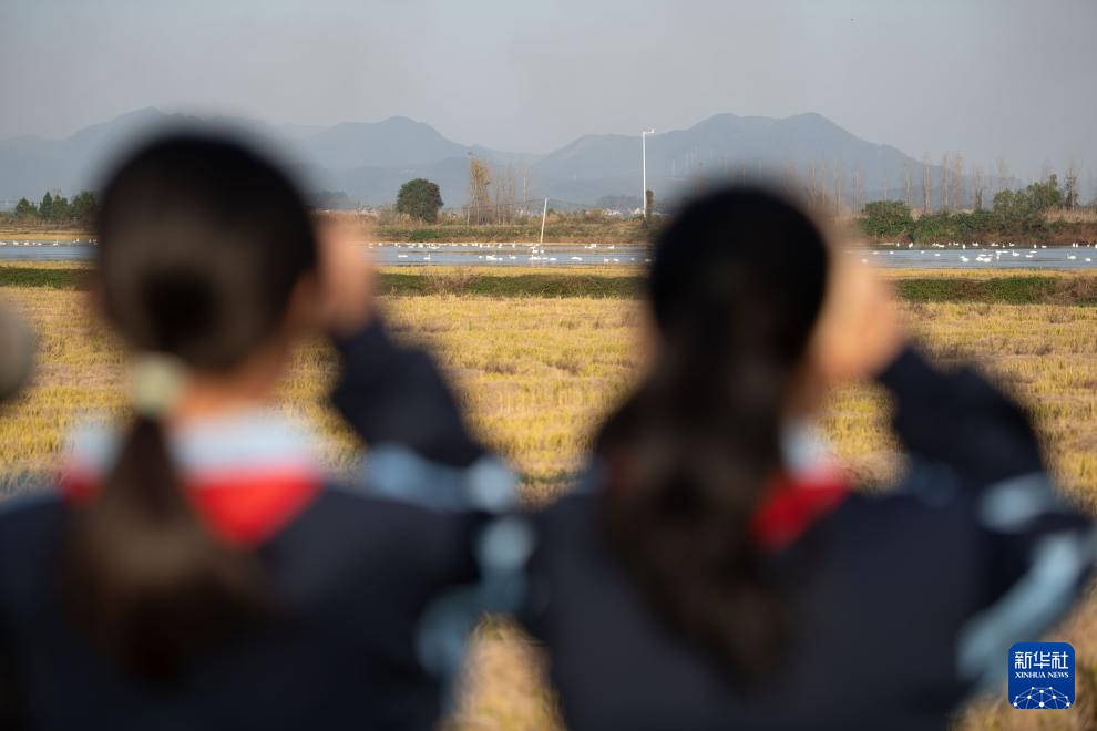 与湿地共成长——这所乡村小学有特色