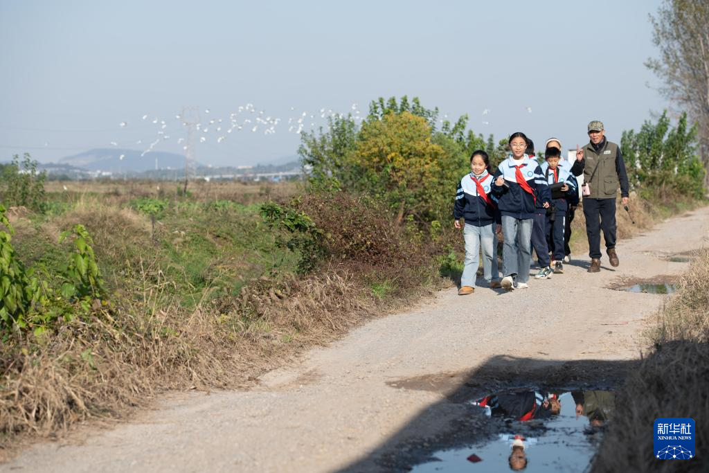与湿地共成长——这所乡村小学有特色