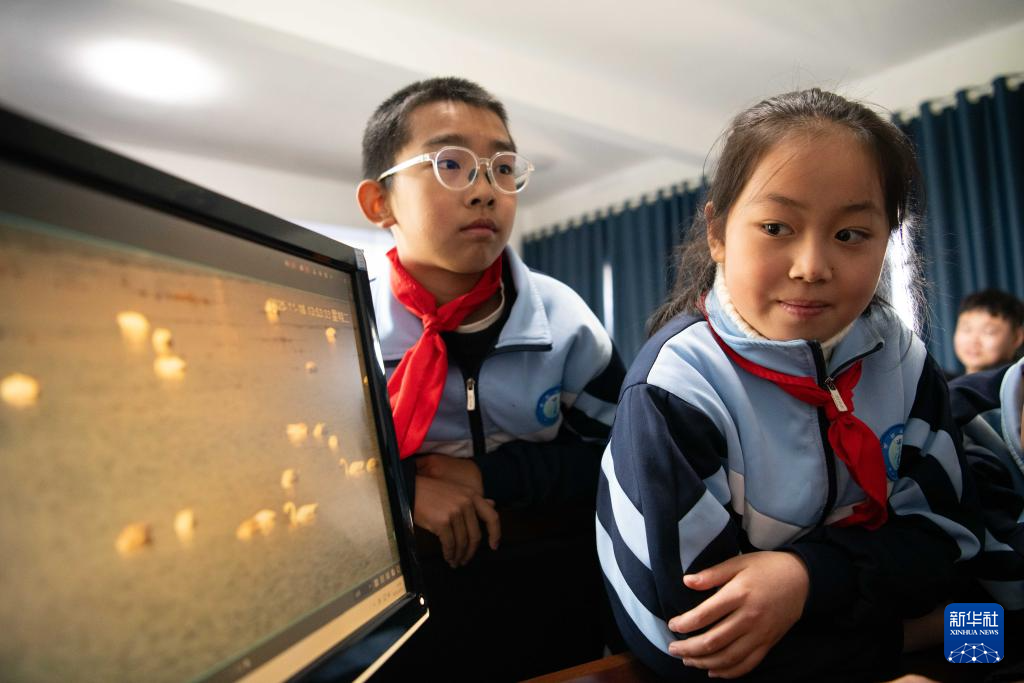 与湿地共成长——这所乡村小学有特色