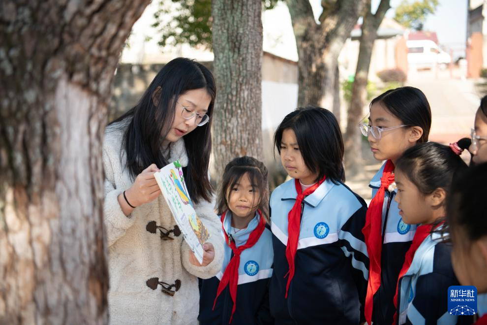 与湿地共成长——这所乡村小学有特色