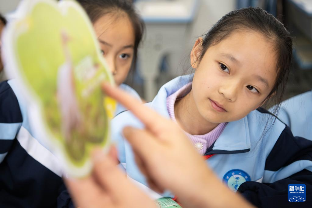 与湿地共成长——这所乡村小学有特色