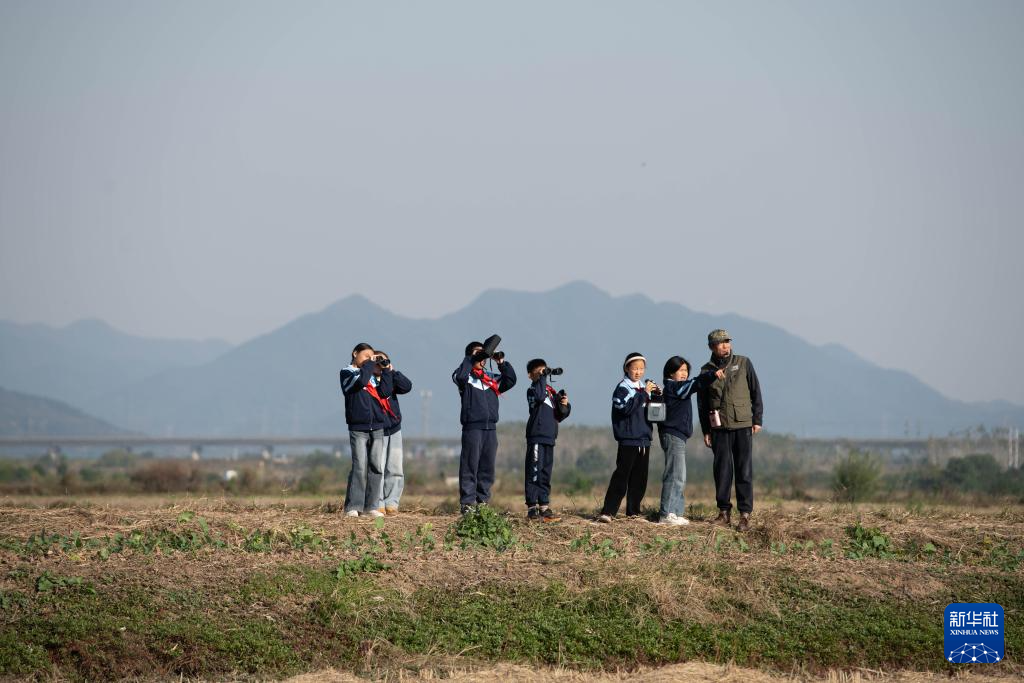 与湿地共成长——这所乡村小学有特色