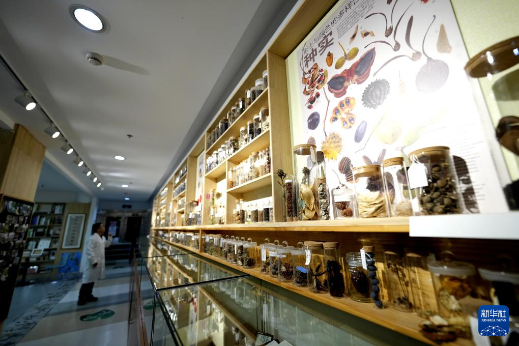 国家重要野生植物种质资源库辰山中心种子存量突破一亿粒