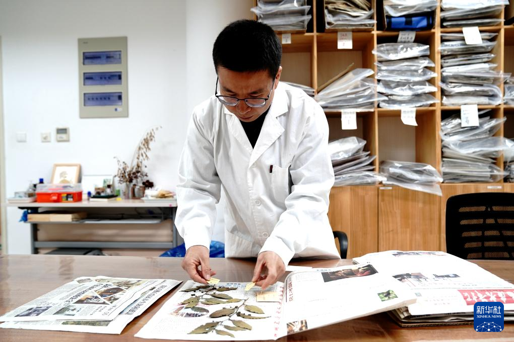 国家重要野生植物种质资源库辰山中心种子存量突破一亿粒