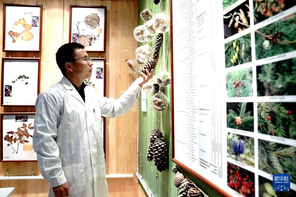 国家重要野生植物种质资源库辰山中心种子存量突破一亿粒