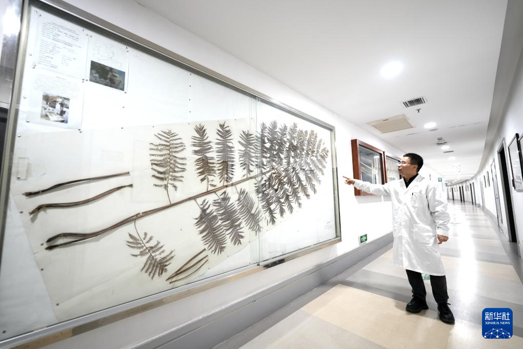 国家重要野生植物种质资源库辰山中心种子存量突破一亿粒