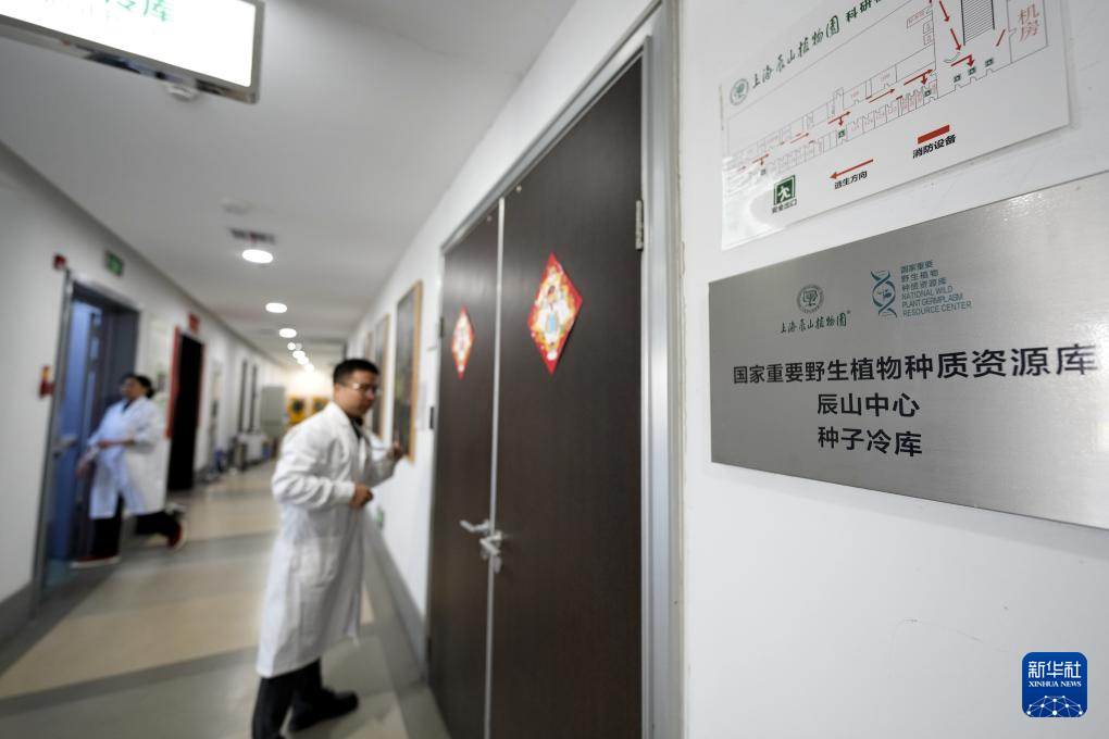 国家重要野生植物种质资源库辰山中心种子存量突破一亿粒