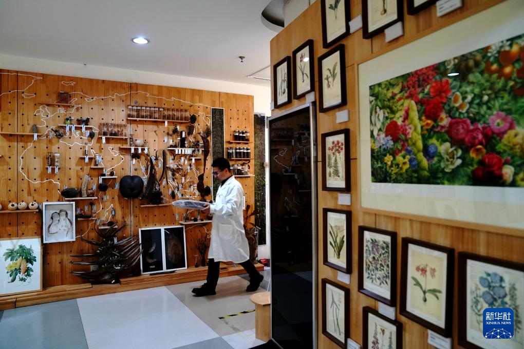 国家重要野生植物种质资源库辰山中心种子存量突破一亿粒