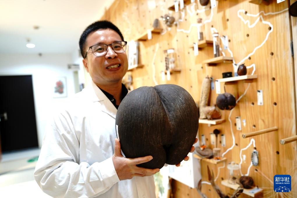 国家重要野生植物种质资源库辰山中心种子存量突破一亿粒