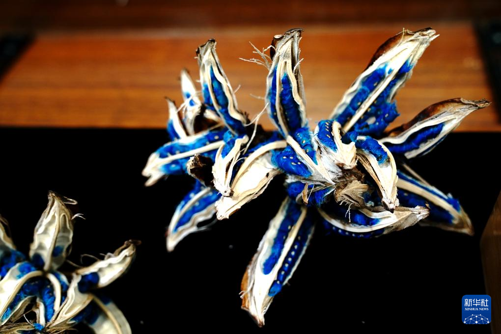 国家重要野生植物种质资源库辰山中心种子存量突破一亿粒