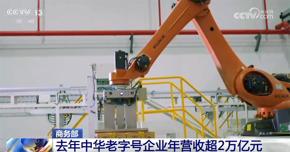 中华老字号“金色名片”焕发新生机 亮眼数据见证“强大市场价值+品牌活力”