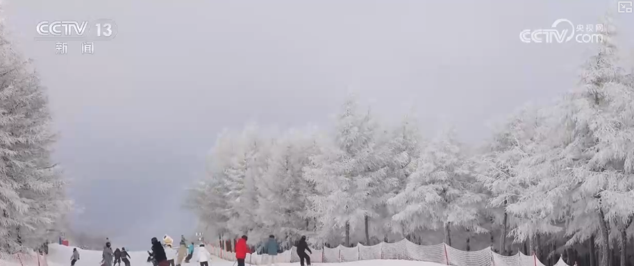 创新业态释放“冬雪夏凉”资源优势新活力 “高端赛事+大众活动”添彩花样冰雪