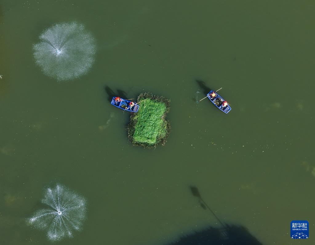 浙江长兴：全域治水扮靓美丽乡村