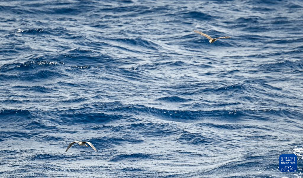 南海影像日志丨南海美如画