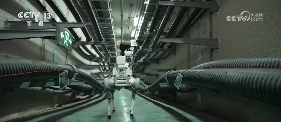 迈向“十五五”美丽图景·一线见闻 | 99.999%背后的数智化跃升