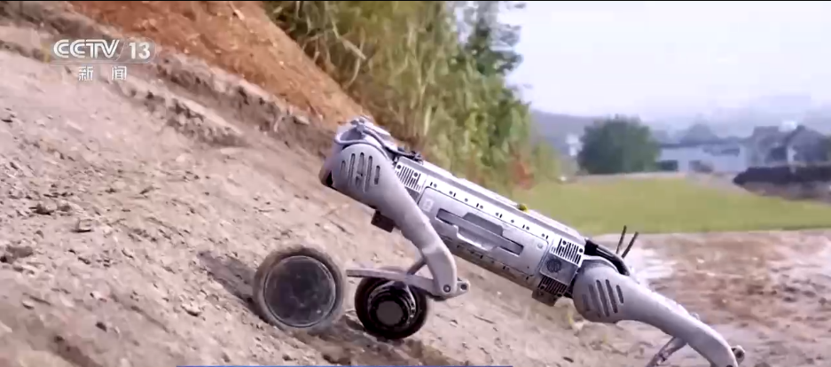 迈向“十五五”美丽图景·一线见闻 | 99.999%背后的数智化跃升