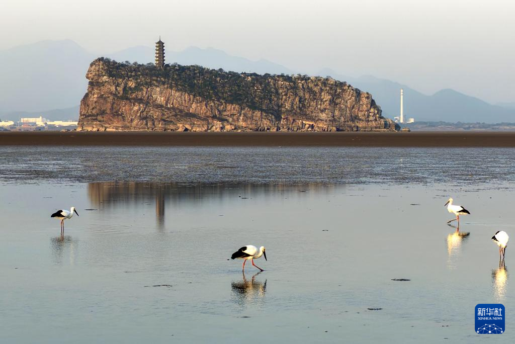 鄱湖如画 候鸟翔集