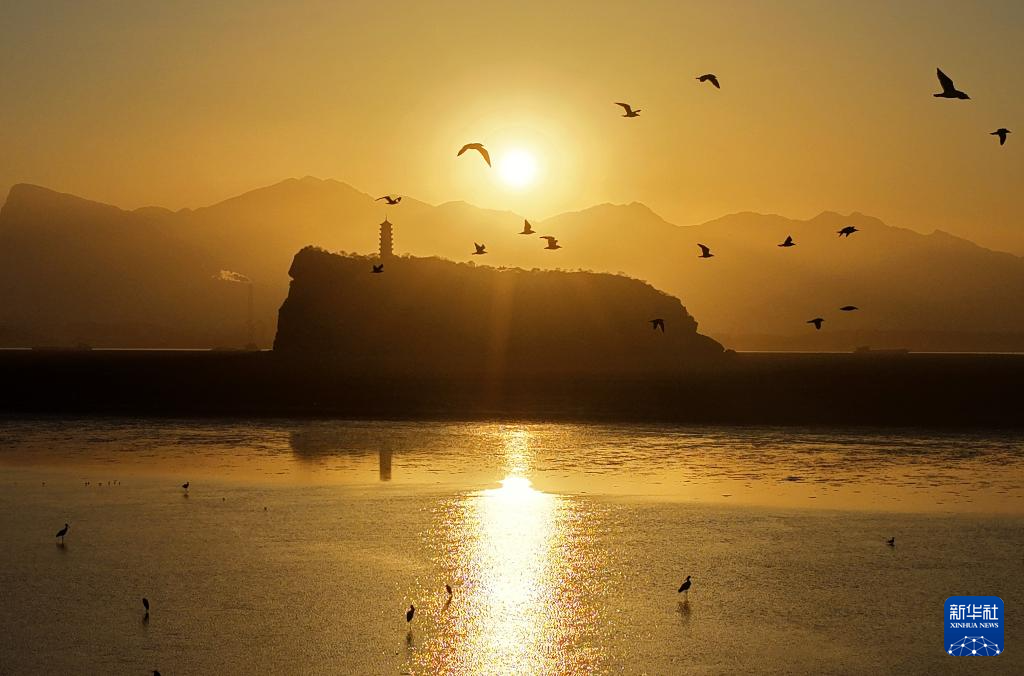 鄱湖如画 候鸟翔集