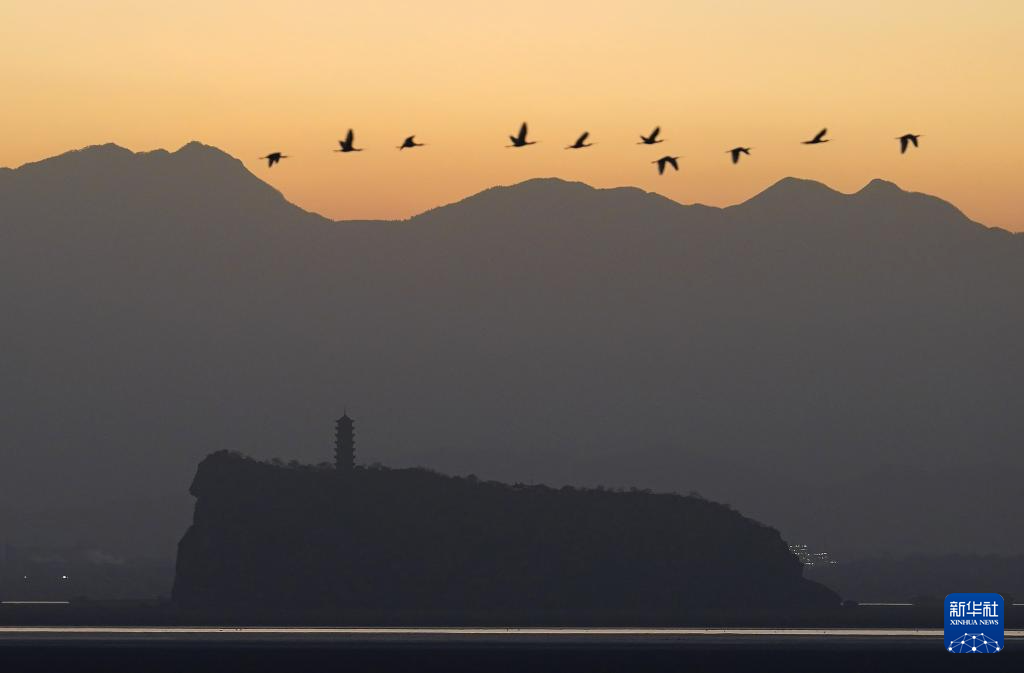 鄱湖如画 候鸟翔集