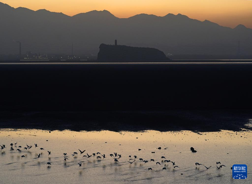 鄱湖如画 候鸟翔集