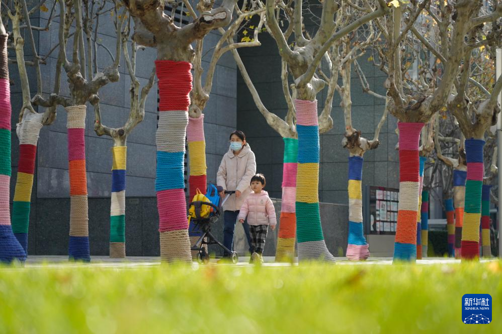 大树披“针织外衣” 北京添多彩冬景