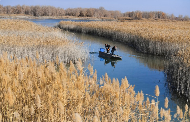 锁边合龙一周年丨从“死亡之海”到“财富绿洲” 看塔克拉玛干如何点沙成金 锁边合龙一周年丨从“死亡之海”到“财富绿洲” 看塔克拉玛干如何点沙成金