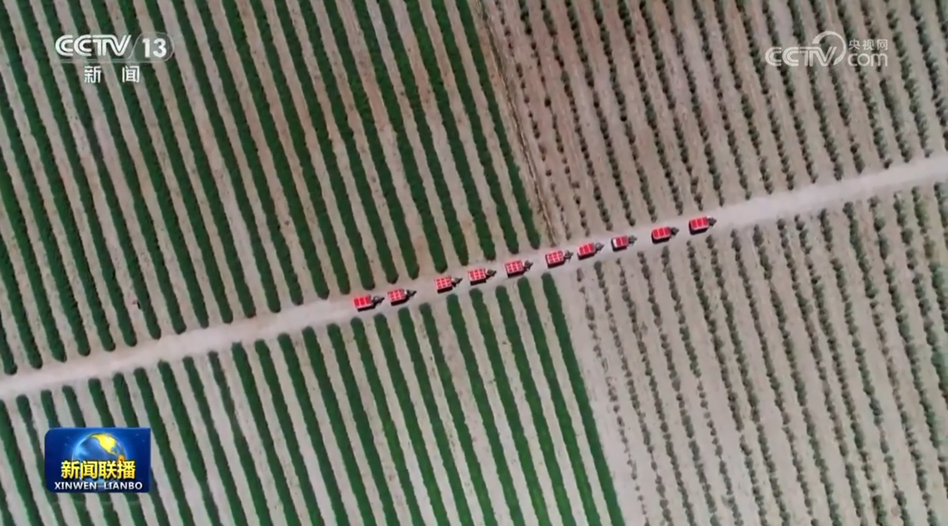 【新思想引领新征程·非凡“十四五”】巩固拓展脱贫攻坚成果 加快推进乡村全面振兴